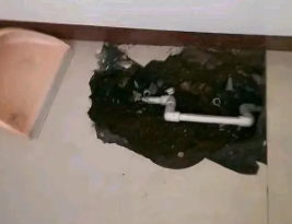 丹寨卫生间测漏水多少钱